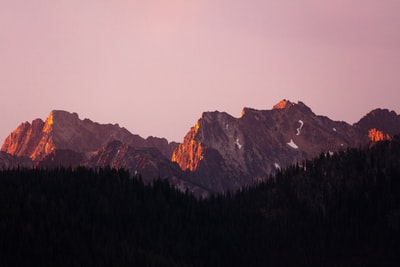 山地松林